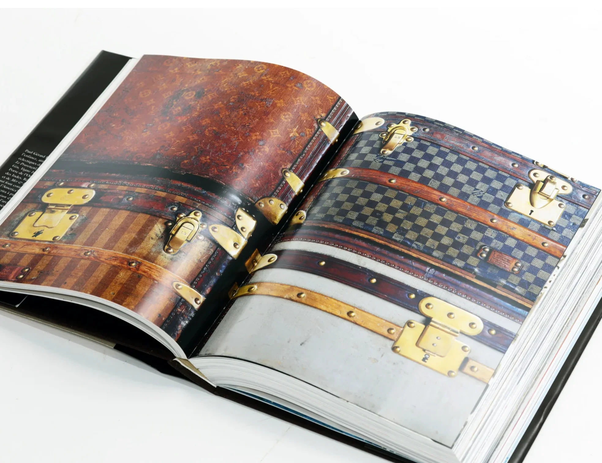 Louis Vuitton: The Birth Of Modern Luxury Book - Image 3